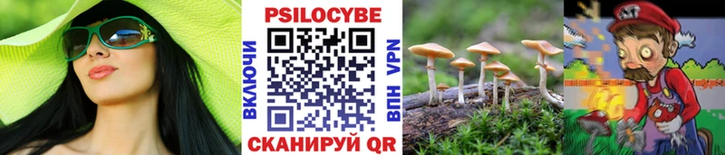 Галлюциногенные грибы GOLDEN TEACHER  Купить где  Карачаевск 
